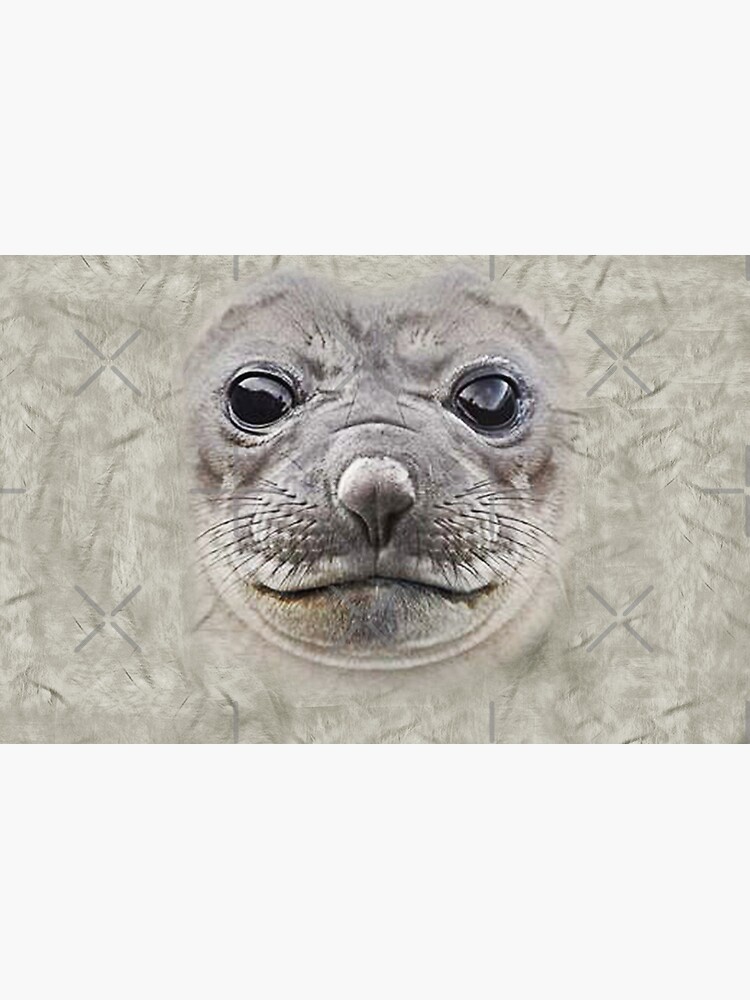 Men Womens Cute Face Seal Animal 3d Gift Men Womens Cute Face Seal Animal 3d Gift