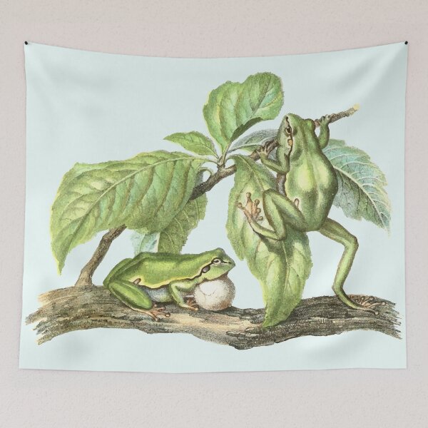 Item preview, Frogs designed and sold by philozei.