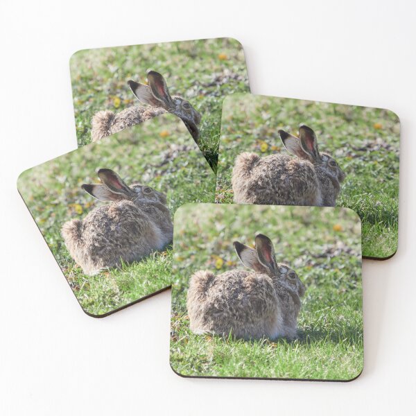 Item preview, Under the sun on the green fields. European hare designed and sold by Jouko Lehto Photography.