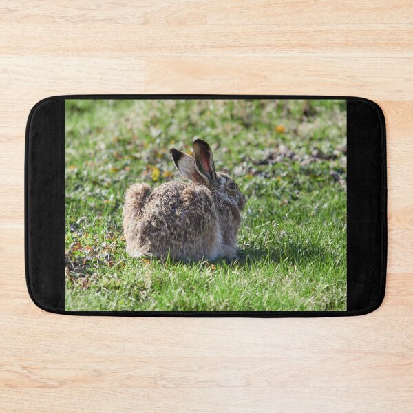 Item preview, Under the sun on the green fields. European hare designed and sold by Jouko Lehto Photography.