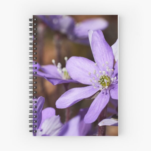 Item preview, Oh that purple. Hepatica 16 designed and sold by Jouko Lehto Photography.