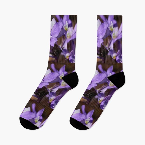 Item preview, Oh that purple. Hepatica 16 designed and sold by Jouko Lehto Photography.