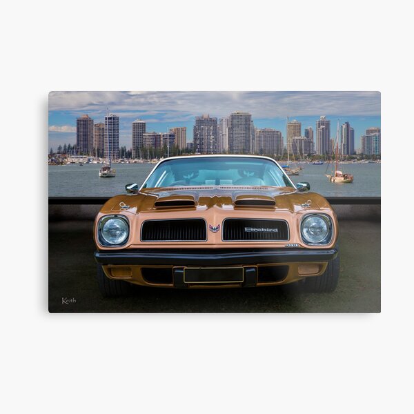 74 Bird Metal Print