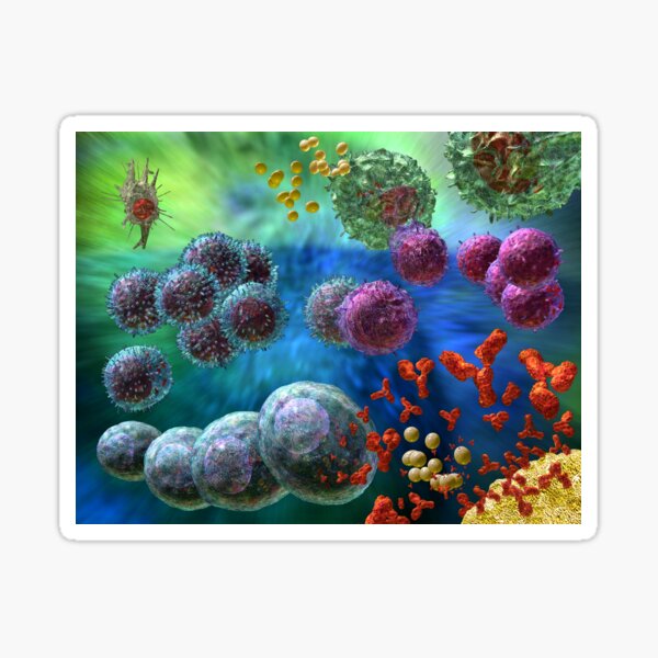 ANTIBODY IMMUNE RESPONSE Sticker