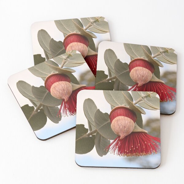 Item preview, Macrocarpa Flower designed and sold by Samvara.