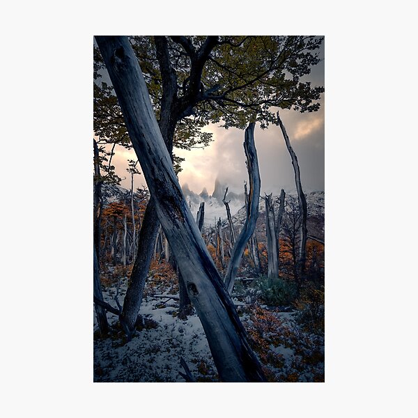 Patagonia Photographic Print