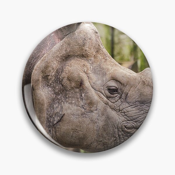 Item preview, One Horned Rhino designed and sold by Darren Wilkes Wildlife UK.