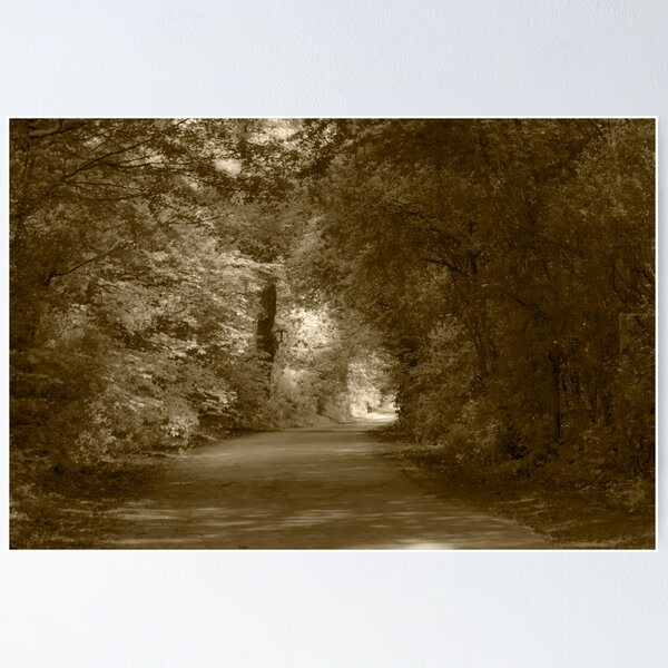 Country Lane Poster