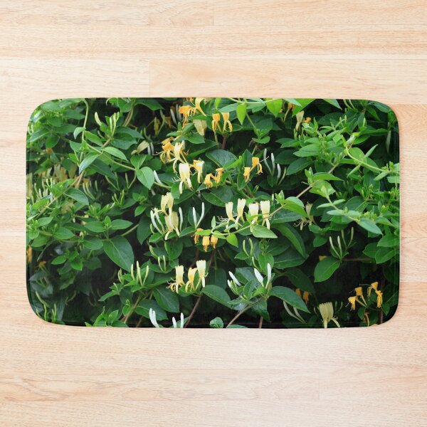 Item preview,  Lonicera japonica in bloom designed and sold by annalisa56.