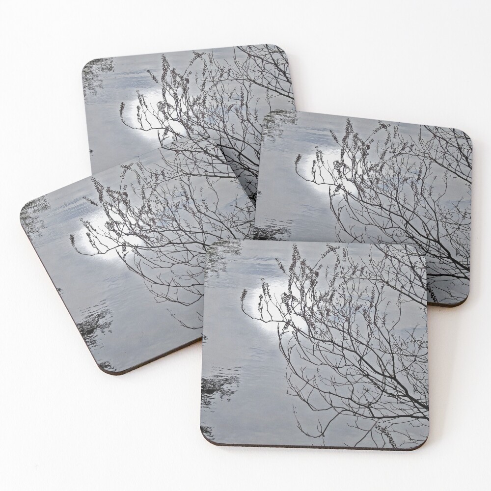 Item preview, Coasters (Set of 4) designed and sold by RVogler.