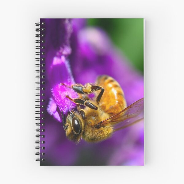 Item preview, Bee on purple flower designed and sold by Samvara.