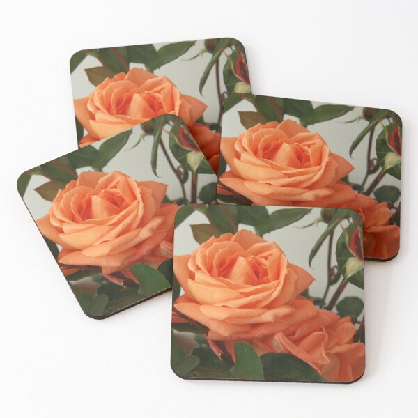 Item preview, Warmth and Happiness designed and sold by coffeebean.