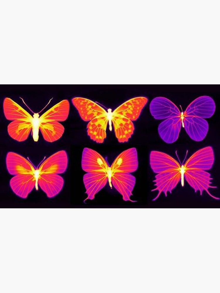 "indie butterfly aesthetic" Photographic Print for Sale by elinguinness Redbubble