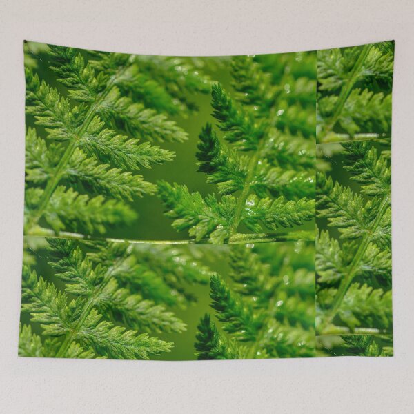 Item preview, Fern leaves in sunlight sparkle  designed and sold by yarvin13.