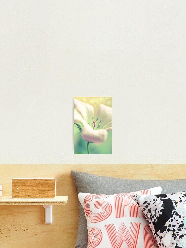 Thumbnail 2 of 3, Photographic Print, Pale Rapture designed and sold by Donna-R.