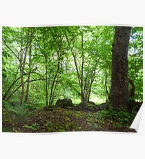 The Beauty of Early Summer Greens Poster