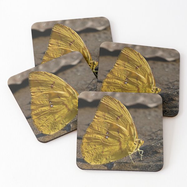 Item preview, Amazonian Sulphur Butterfly designed and sold by Samvara.