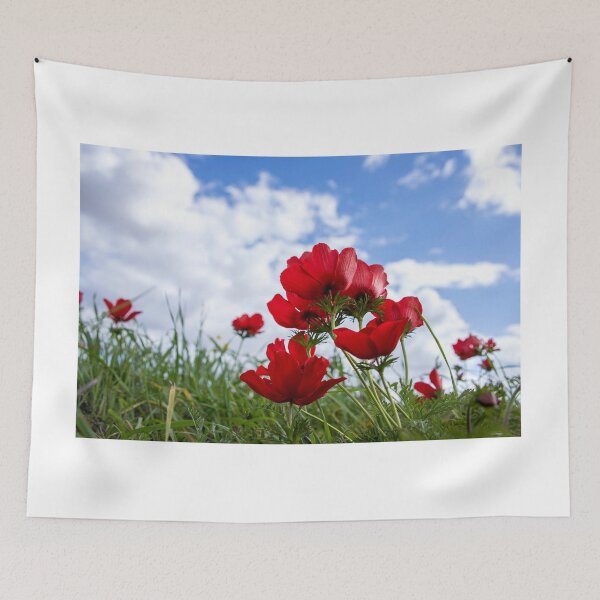 Item preview, Red natural anemones coronaria flowers in bloom in green grass against blue sky with clouds designed and sold by EG Creativity Art.