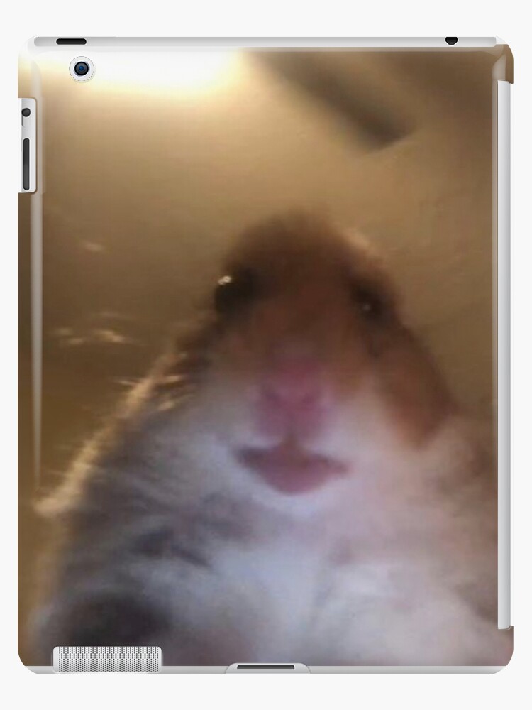 hamster facetime