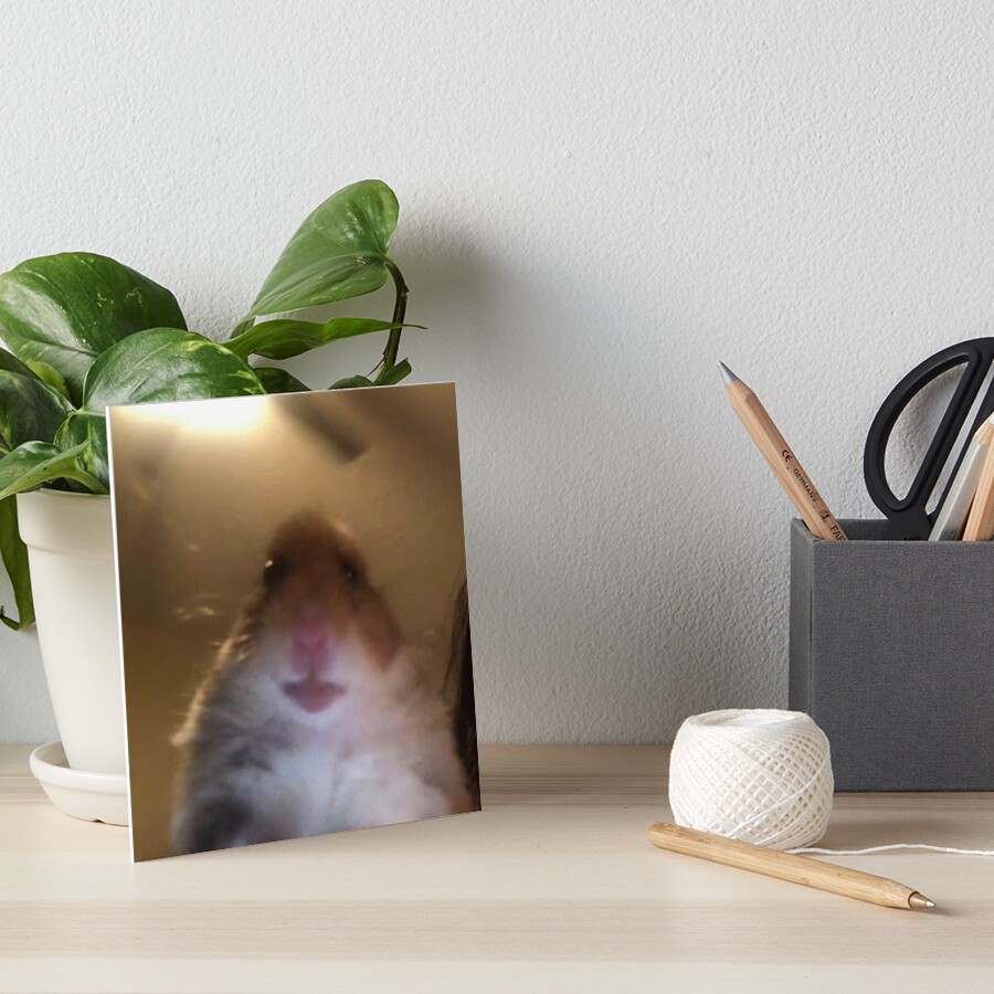 "facetime Hamster Meme" Art Board Print By James-heath | Redbubble