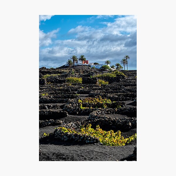 Item preview, Lanzarote Wine Growing designed and sold by iCimages.net.