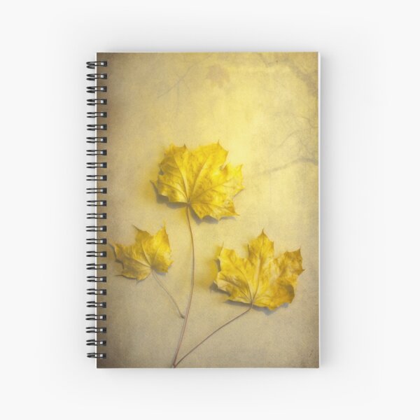 The golden light Spiral Notebook