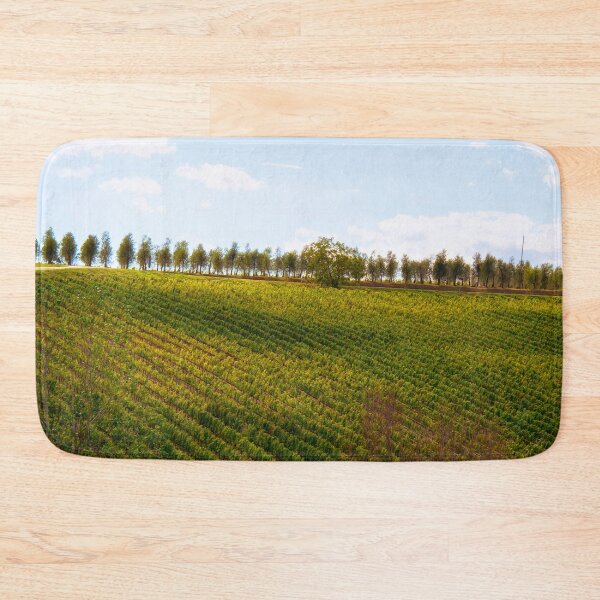 Item preview, Tree lined Road - Tuscany - Italy designed and sold by Yannik Hay.