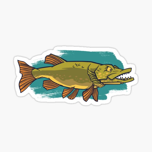not.Salmon/Pike/Bass/Fly/Fish Koi Fishing Carp Hunter Car Window Sticker 
