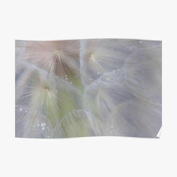 crystal tears in weightlessness Poster