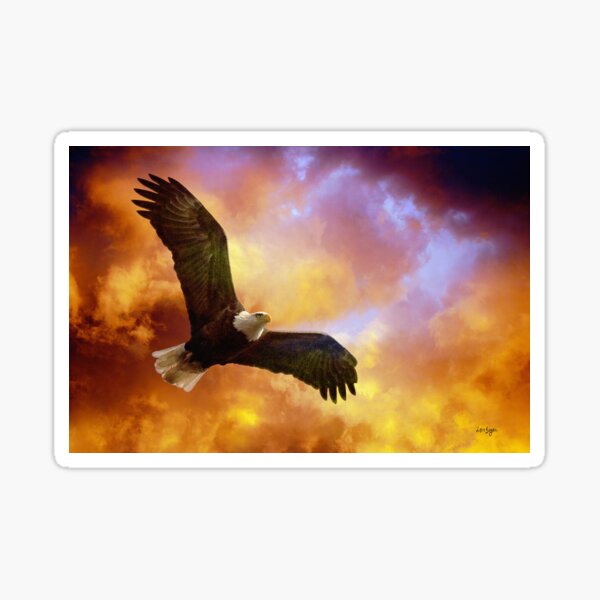 Perseverance Sticker