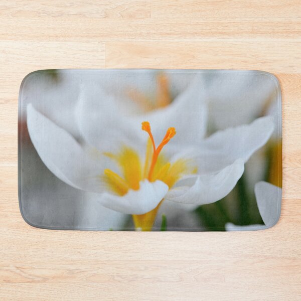 Item preview, Crocus sieberi  'Bowles's White'   designed and sold by Chris Burrows.