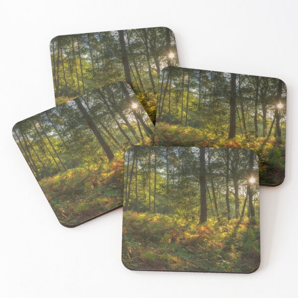 Item preview, Autumn Colours, Wyre Forest designed and sold by Philip Moore Photography .