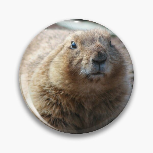Item preview, Cheeky prairie dog  designed and sold by KcsArt87.