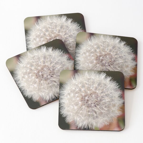 Item preview, Taraxacum Officinale Fruit designed and sold by taiche.