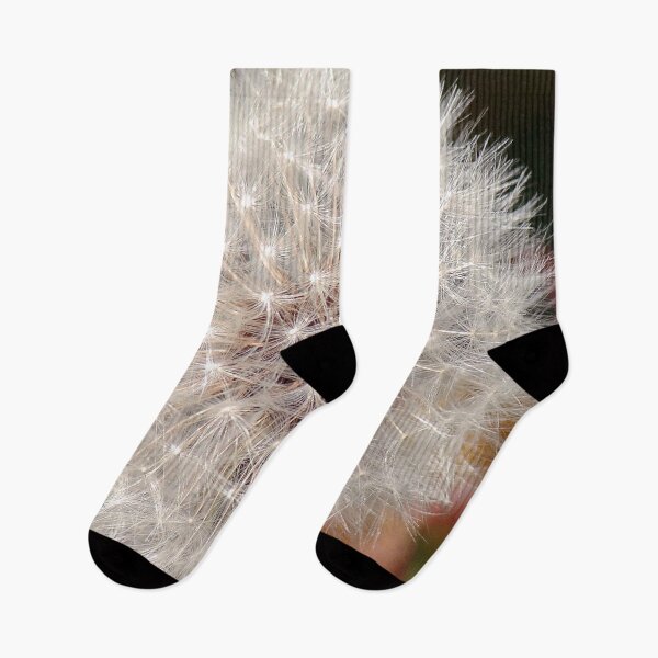 Item preview, Taraxacum Officinale Fruit designed and sold by taiche.