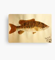 Smallmouth Bass Canvas Print