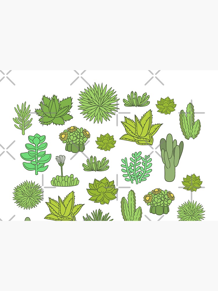 Succulents and cactus. For cacti plant lover by kostolom3000