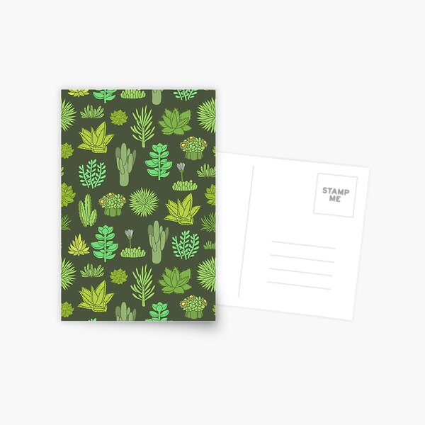 Succulents and cactus. For cacti plant lover Postcard