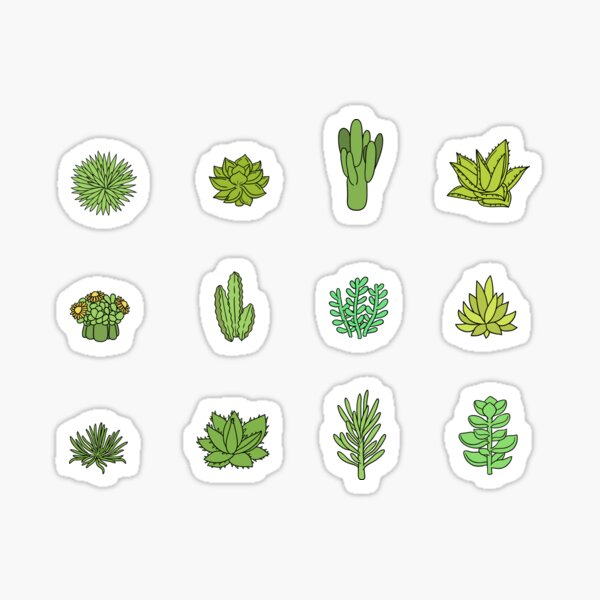 Item preview, Succulents and cactus. For cacti plant lover designed and sold by kostolom3000.