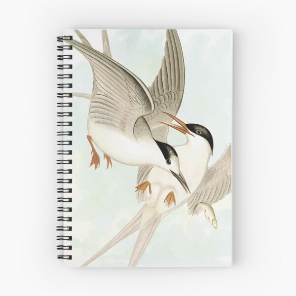 Item preview, White-Fronted Tern & Roseate Tern designed and sold by minimalcinema.