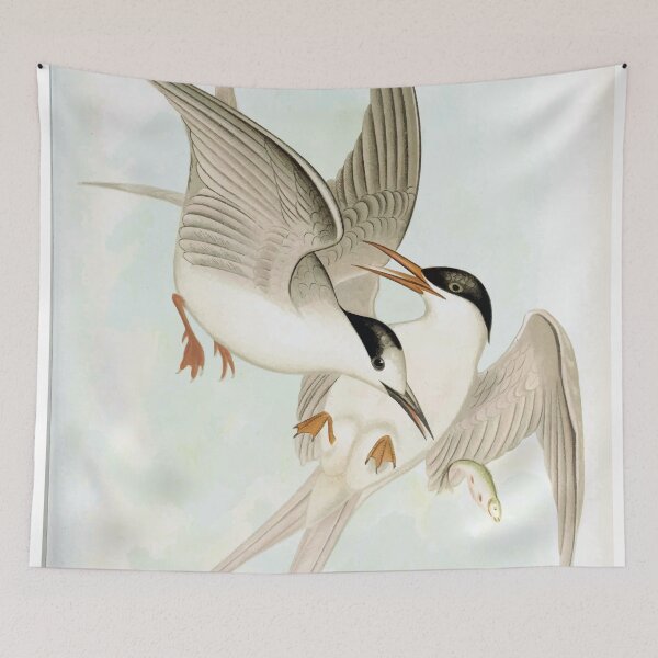Item preview, White-Fronted Tern & Roseate Tern designed and sold by minimalcinema.