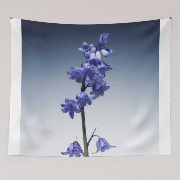 Item preview, The beautiful british Bluebell. designed and sold by Phillip Thornton.