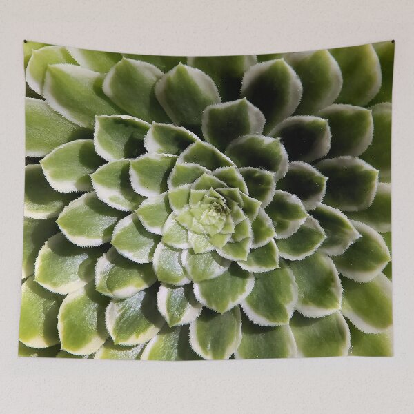 Item preview, Nature's Design designed and sold by heatherfriedman.
