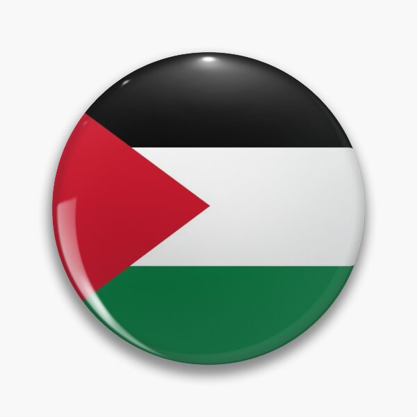 3-50Pcs Palestine Flag Lapel Pins Palestine National Flag Lapel