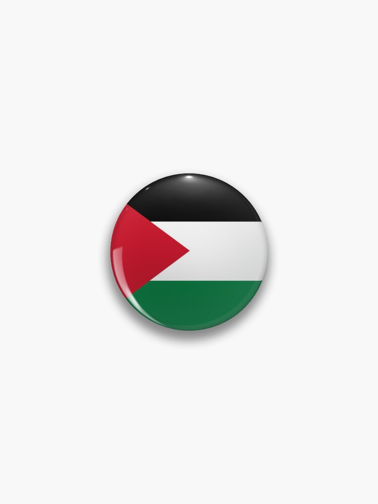 American & Palestine Flags Pin 1