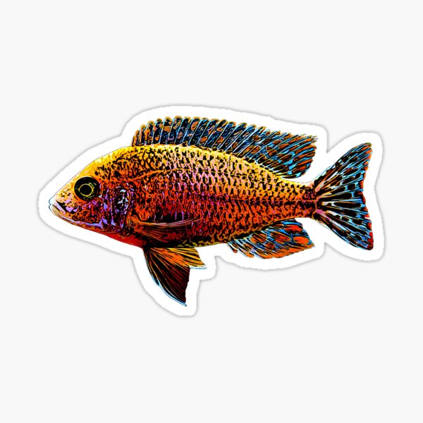 Sticker Barsch Redbubble