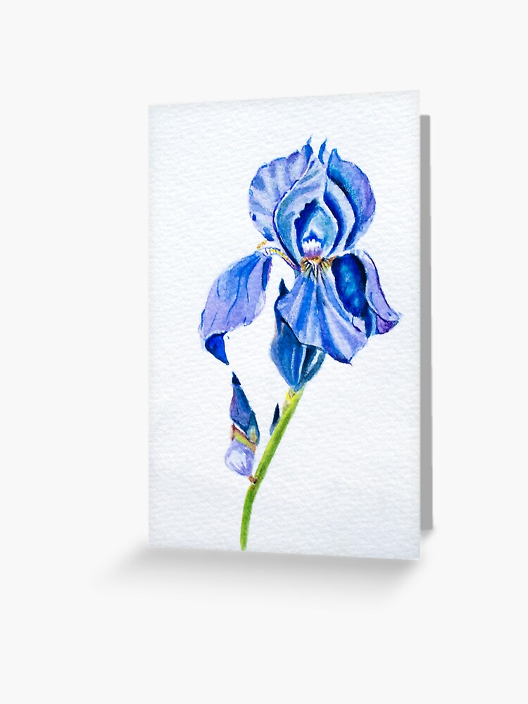 Tarjetas de felicitación «Flor de acuarela de iris azul» de kcarin |  Redbubble