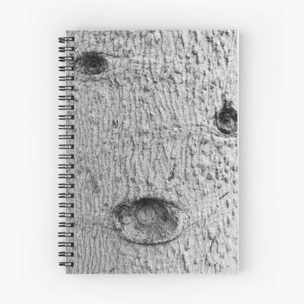 Item preview, Trees of Barcelona designed and sold by MarcoArts.