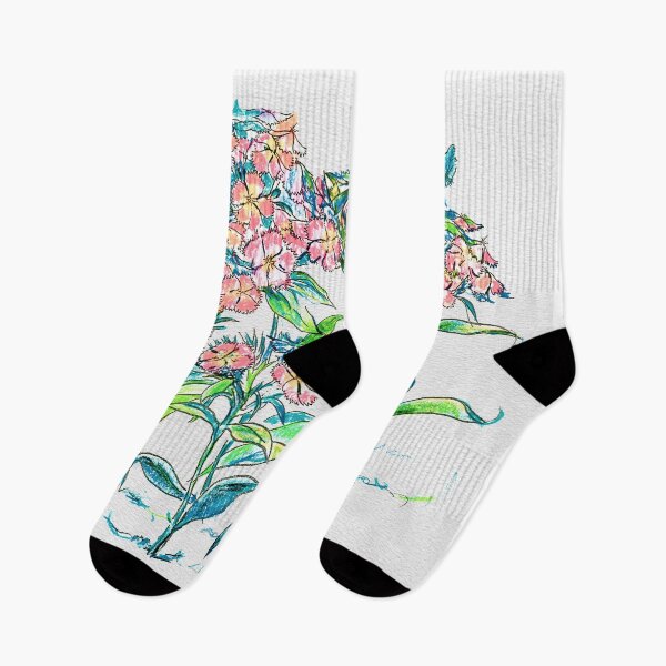 Item preview, Sweet Williams Flowers color pencil designed and sold by Shininglight14.