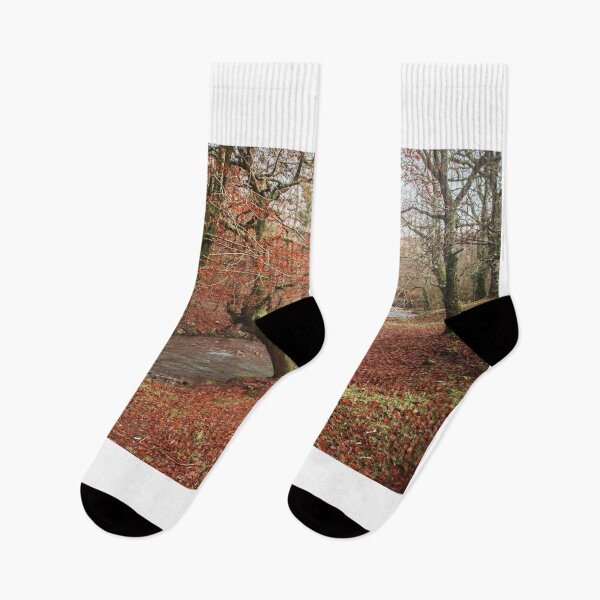 Item preview, Forest in vivid autumn colors designed and sold by MarioGuti.